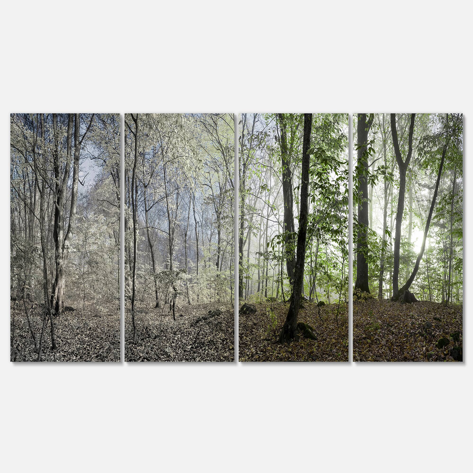 Designart - Green Morning in Forest Panorama